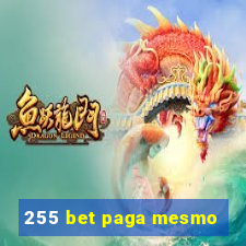 255 bet paga mesmo